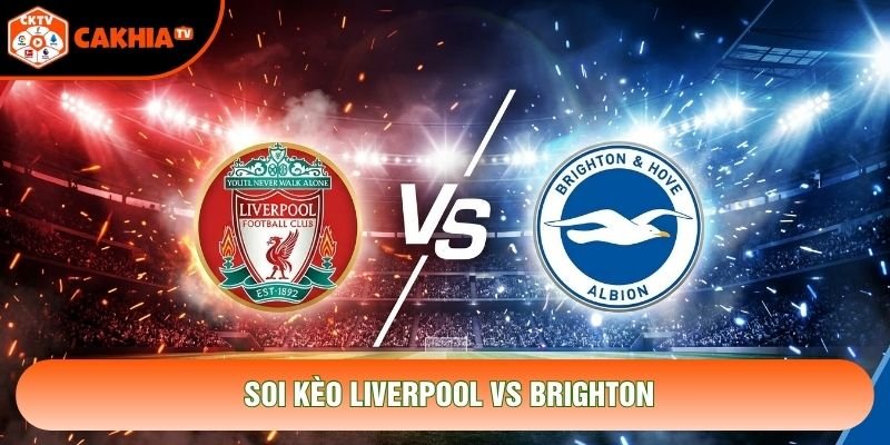 Soi Kèo Liverpool Vs Brighton, 21h 25/10 - Ngoại Hạng Anh